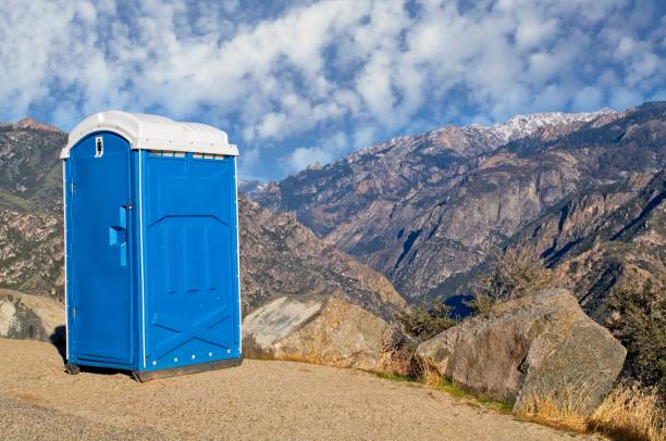 Best Affordable portable toilet rental  in Mount Morris, MI