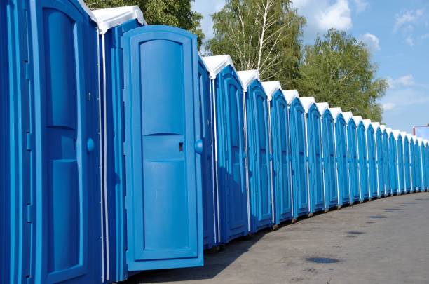 Best Local porta potty services  in Mount Morris, MI